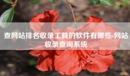 查网站排名收录工具的软件有哪些-网站收录查询系统