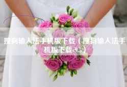 搜狗输入法手机版下载（搜狗输入法手机版下载v9.5）