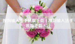 搜狗输入法手机版下载（搜狗输入法手机版下载v9.5）