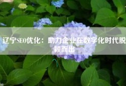 辽宁SEO优化：助力企业在数字化时代脱颖而出