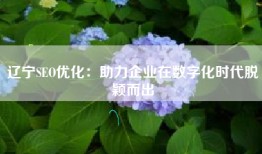 辽宁SEO优化：助力企业在数字化时代脱颖而出