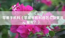 苹果手机料（苹果手机料音怎么设置流量呢？）