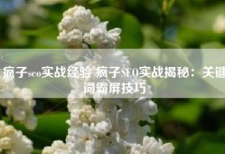 疯子seo实战经验 疯子SEO实战揭秘：关键词霸屏技巧