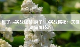 疯子seo实战经验 疯子SEO实战揭秘：关键词霸屏技巧