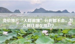 竞价推广“人群画像”分析都不会，怎么抓住潜在用户？