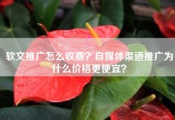 软文推广怎么收费？自媒体渠道推广为什么价格更便宜？