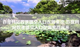 百度网站收录提交入口在哪里找-百度网站收录提交入口在哪里找出来