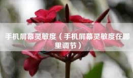 手机屏幕灵敏度（手机屏幕灵敏度在哪里调节）