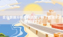 企业数据分析工具选型，除了看需求还要看什么？