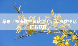 苹果手机骚扰拦截软件（iphone骚扰电话拦截软件）