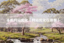 手机网站优化（网站优化在哪里）