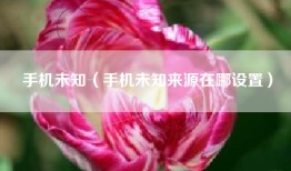 手机未知（手机未知来源在哪设置）
