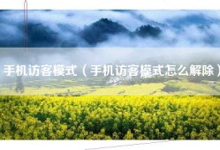 手机访客模式（手机访客模式怎么解除）