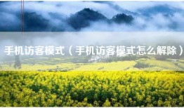手机访客模式（手机访客模式怎么解除）