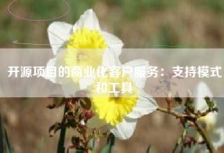 开源项目的商业化客户服务：支持模式和工具