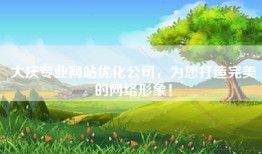 大庆专业网站优化公司，为您打造完美的网络形象！