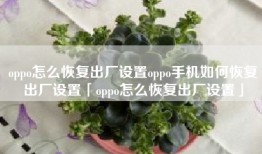 oppo怎么恢复出厂设置oppo手机如何恢复出厂设置「oppo怎么恢复出厂设置」