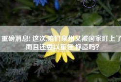 重磅消息! 这次,咱们泉州又被国家盯上了,而且还委以重任,你造吗？