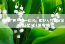 一只“熊”换一套房，年轻人的致富密码还是泡沫骗局？