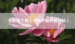 手机站下载（手机下载软件网站）