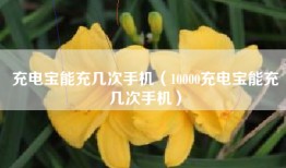 充电宝能充几次手机（10000充电宝能充几次手机）