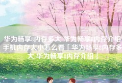 华为畅享8内存多大 华为畅享8内存介绍手机内存大小怎么看「华为畅享8内存多大 华为畅享8内存介绍」
