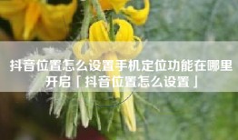 抖音位置怎么设置手机定位功能在哪里开启「抖音位置怎么设置」