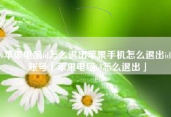 苹果电脑id怎么退出苹果手机怎么退出id账号「苹果电脑id怎么退出」