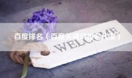 百度排名（百度关键词排名代发）