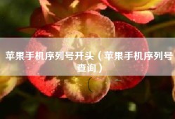 苹果手机序列号开头（苹果手机序列号查询）