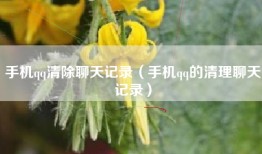 手机qq清除聊天记录（手机qq的清理聊天记录）