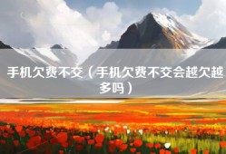 手机欠费不交（手机欠费不交会越欠越多吗）