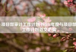 项目部审计工作计划书2024年度与项目部工作计划范文汇编