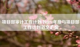 项目部审计工作计划书2024年度与项目部工作计划范文汇编