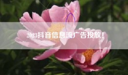 2023抖音信息流广告投放！