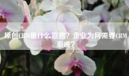 原创CRM是什么意思？企业为何需要CRM系统？