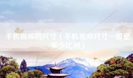 手机视频的尺寸（手机视频尺寸一般是多少比例）