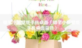 蜡笔小新壁纸手机桌面（蜡笔小新壁纸手机桌面蓝色）