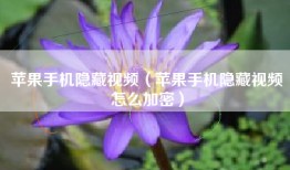 苹果手机隐藏视频（苹果手机隐藏视频怎么加密）