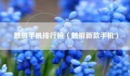 触屏手机排行榜（触屏新款手机）