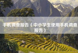 手机调查报告（中小学生使用手机调查报告）