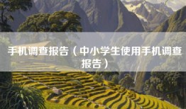 手机调查报告（中小学生使用手机调查报告）