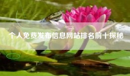 个人免费发布信息网站排名前十探秘