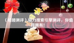 （哈喽测评）磁力搜索引擎测评，你值得拥有！