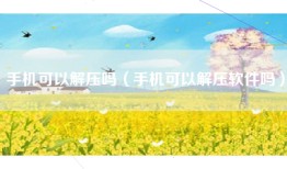 手机可以解压吗（手机可以解压软件吗）