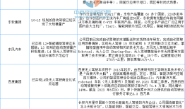 2024年中国无人经济行业市场前景预测研究报告（简版）
