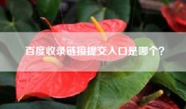 百度收录链接提交入口是哪个？