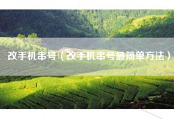 改手机串号（改手机串号最简单方法）