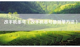 改手机串号（改手机串号最简单方法）