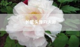 长辈头像六大派